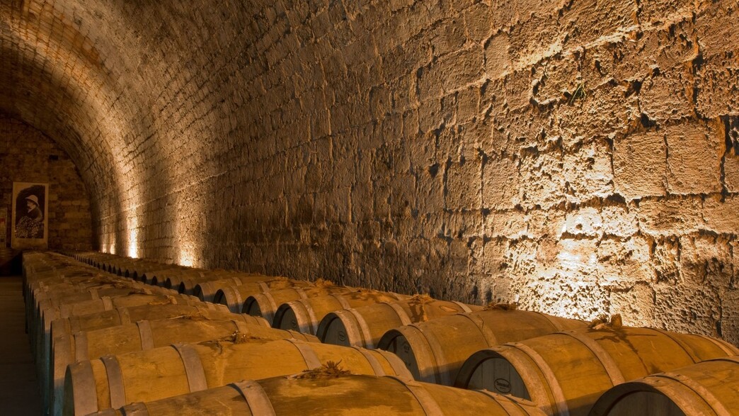 מה הלוז – 6.9 - פסטיבלים -הילולים - פסטיבל יין לרגל 140 שנה למושבה מה הלוז – 6.9 - פסטיבלים -הילולים - פסטיבל יין לרגל 140 שנה למושבה