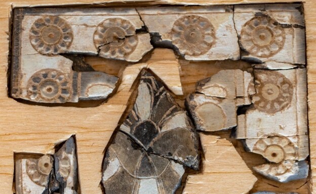 פריטי השנהב הנדירים שהתגלו בירושלים (צילום: גיל מזומן, עיר דוד)