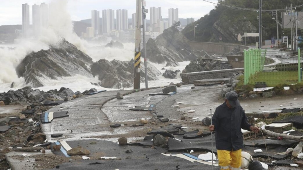 נזקי סופת הטייפון בדרום קוריאה