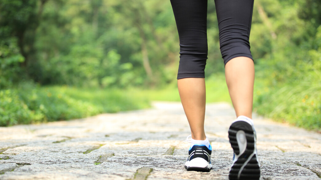 הליכה הליכה