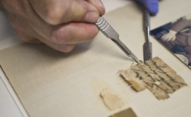 הפפירוס מטופל במעבדות המגילות של רשות העתיקות (צילום: יולי שוורץ, רשות העתיקות)