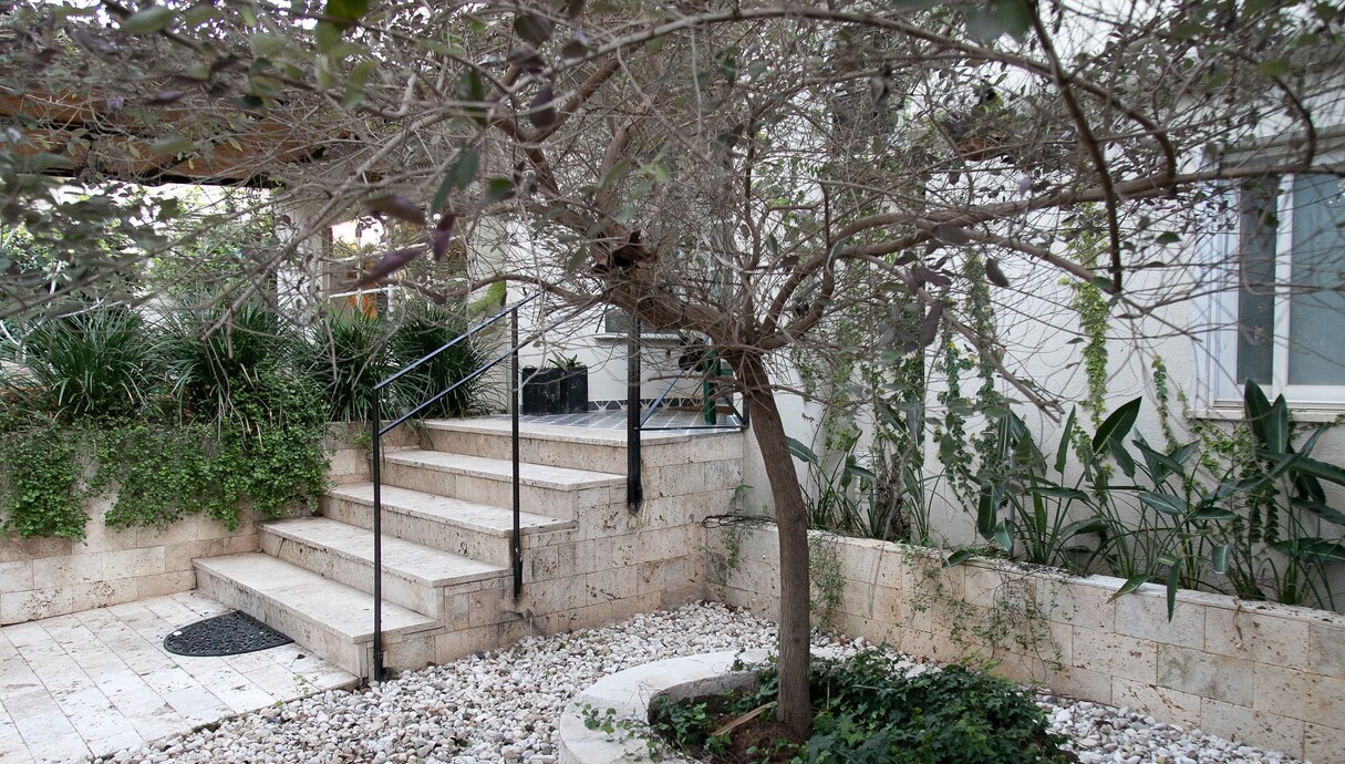 בית באבן יהודה, עיצוב אפי מנשרי, גינה קדמית (צילום: גיתי אריאלי)