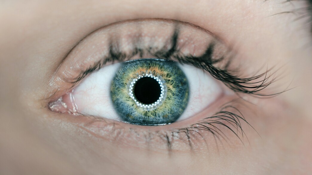 אישון עין (צילום: unsplash)