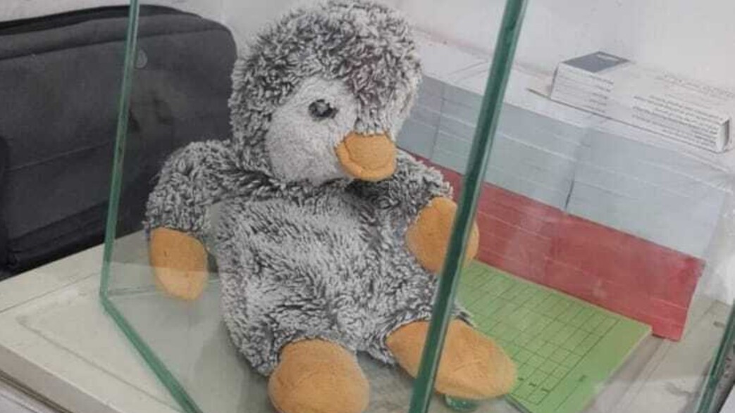 הבובה שנגנבה