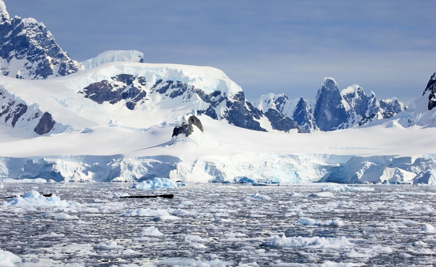 הקוטב הצפוני (צילום: 123RF‏)