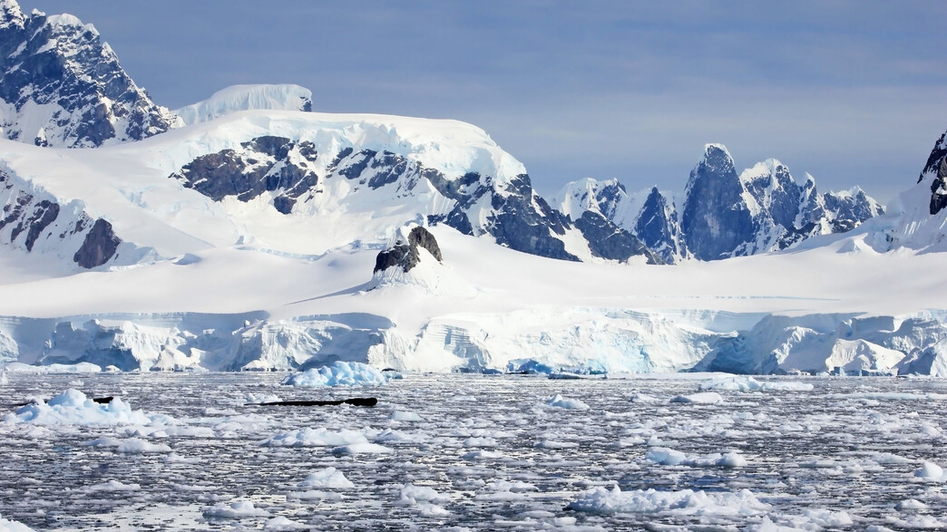 הקוטב הצפוני