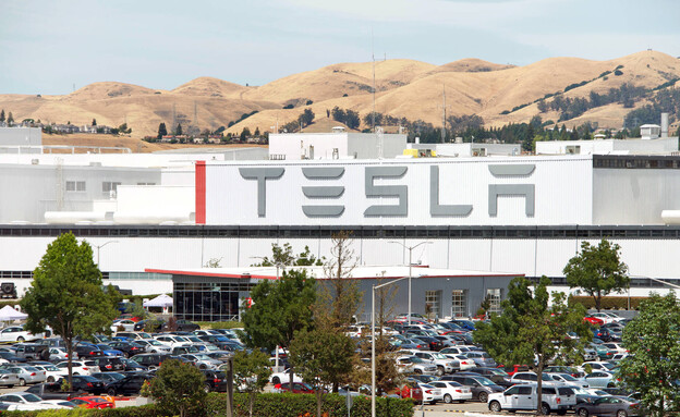משרדי טסלה, Tesla’s factory in Fremont, California (צילום: Sheila Fitzgerald, shutterstock)