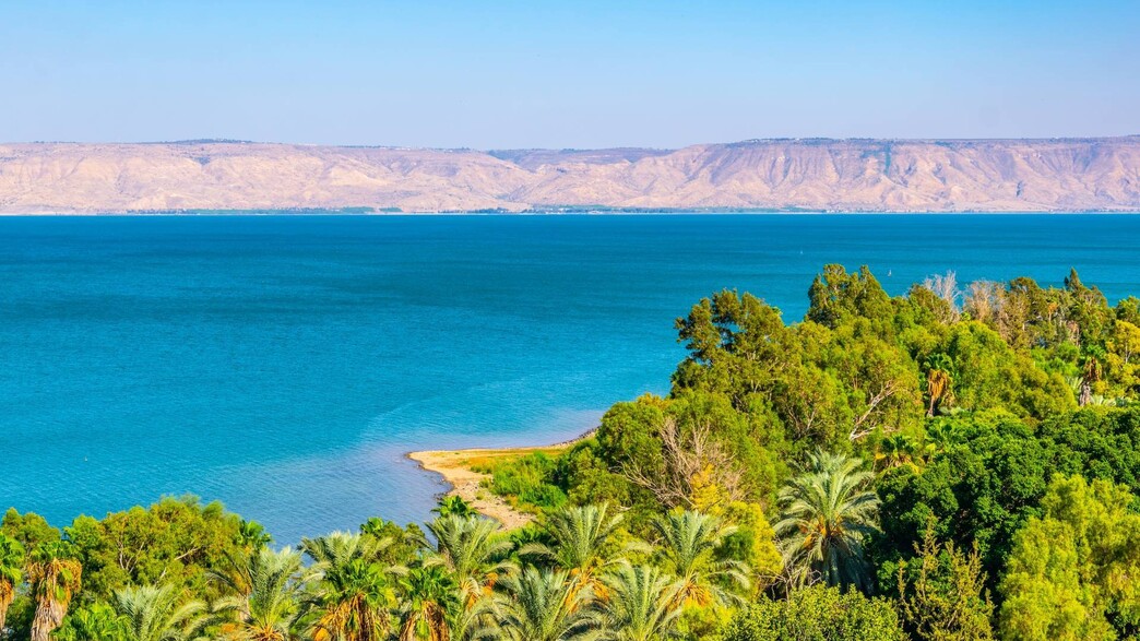 הכנרת הכנרת