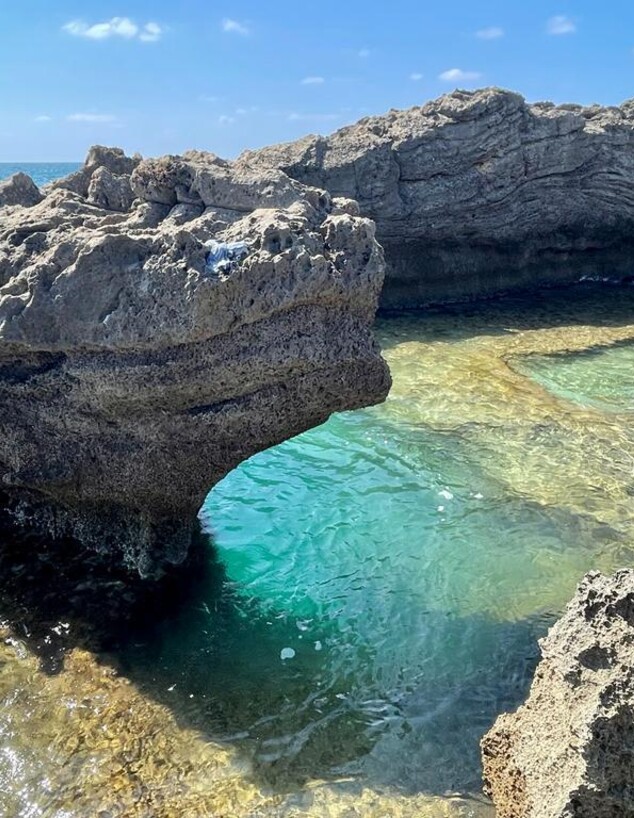 חוף תל דור חוף תל דור