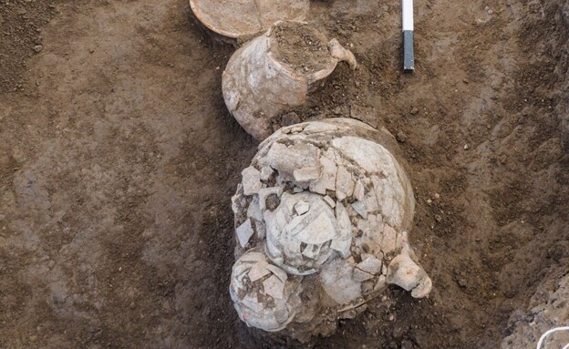 קבר כנעני, שנחשף בחפירת רשות העתיקות ביהוד  (צילום: אסף פרץ, רשות העתיקות)