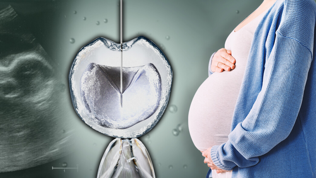 מה קורה בתוך מעבדת הפוריות