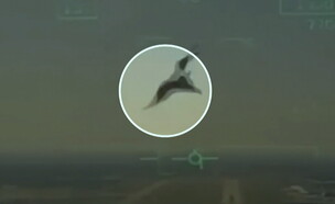 ציפור פוגעת במטוס קרב, והוא מתרסק (צילום: cnn)