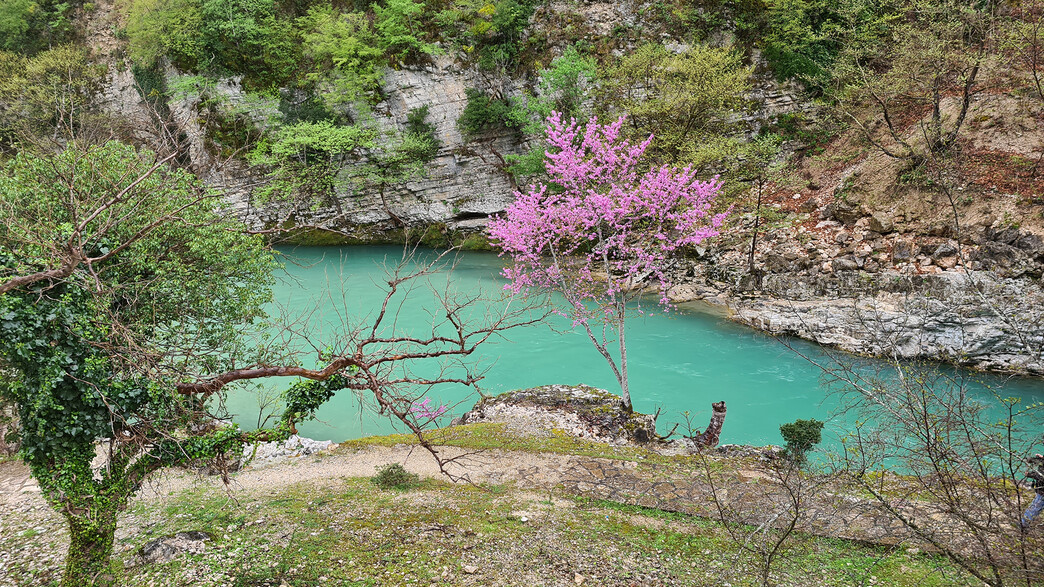 תצפית על נהר קלאריטיקוס צומרקה