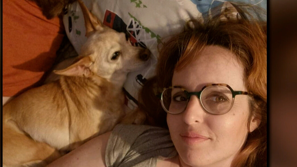 שני כלבים מתו לאחר הדברה והבת חשה ברע