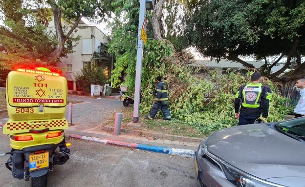 ענף עץ קרס ופגע בשתי הולכות רגל בתל אביב (צילום: מד"א)