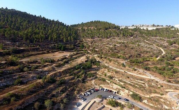 רכס לבן, הרי ירושלים (צילום: דב גרינבלט, החברה להגנת הטבע)