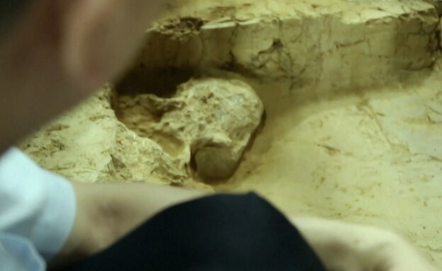 גולגולת אנושית בת מיליון שנה התגלתה בסין (צילום: cnn)