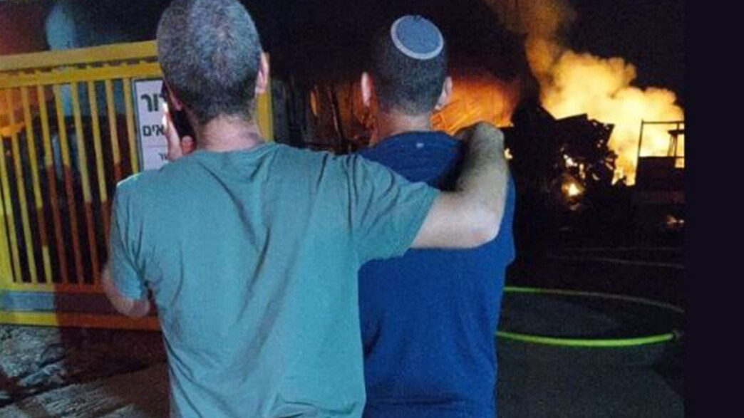 משק דור במחולה