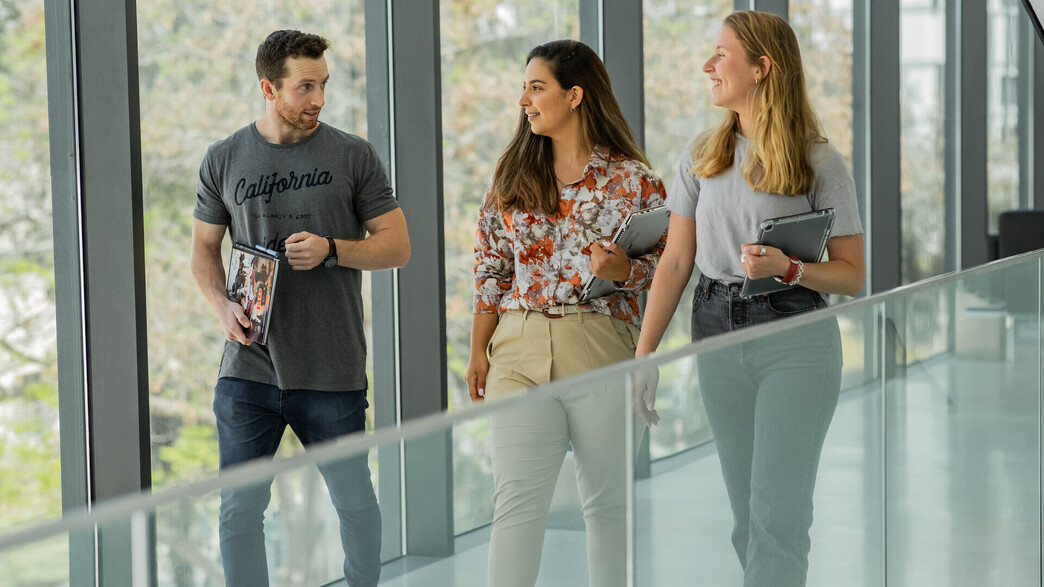 סטודנטים באוניברסיטת רייכמן