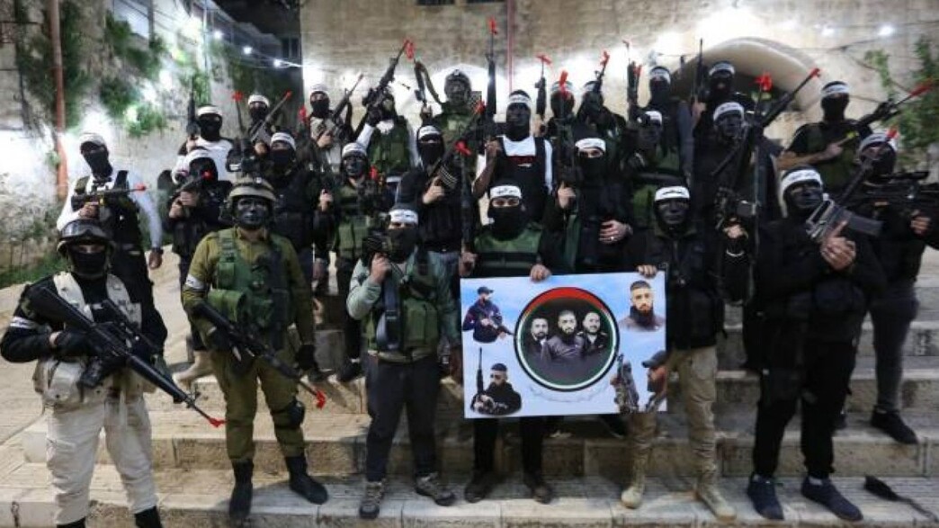 ארגון גוב האריות ארגון גוב האריות