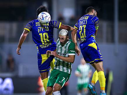 ריינה לא נבהלה והתחילה לתקוף (מאור אלקסלסי)