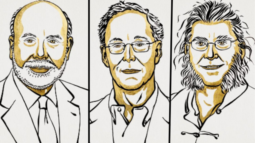 בן ברננקי, דאגלס דיאמנוד, פיליפ דיבוויג