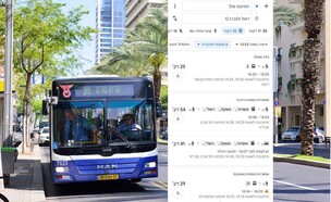 אוטובוס בתל אביב (צילום: Stanislav Samoylik, shutterstock, גוגל מפות)