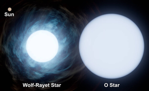 יחס השמש לכוכב שנמצא, טלסקופ החלל ג'יימס ווב (צילום: NASA‏)