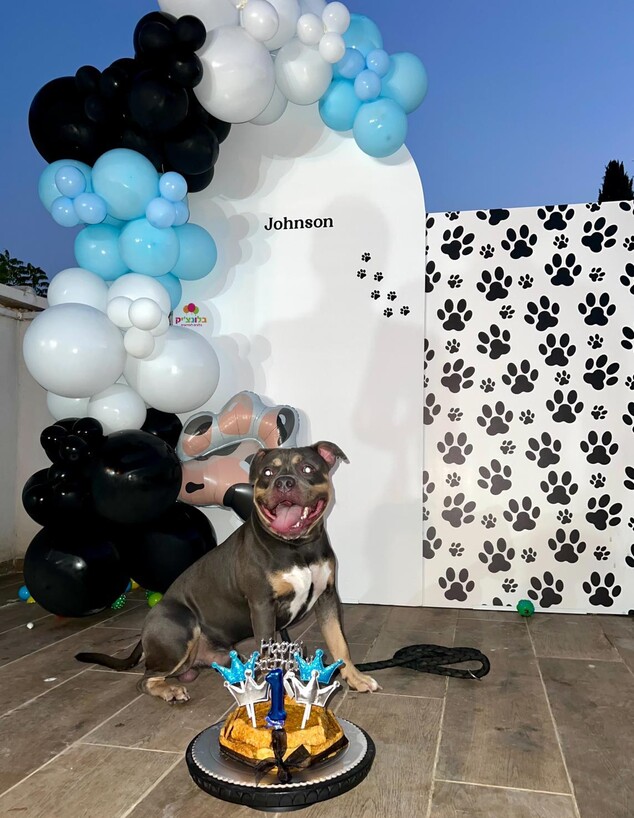 יום ההולדת של ג'ונסון הכלב (צילום: ירדן חלפון)