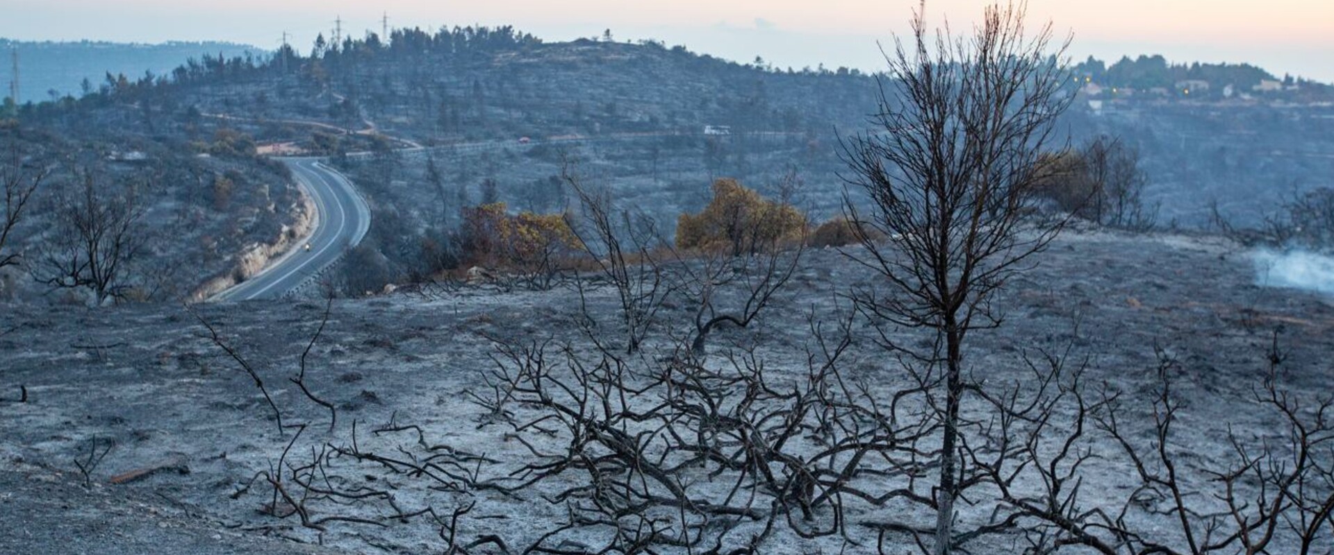משבר האקלים (צילום: Dor Nevo, Greenpeace)