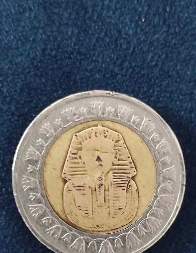 מטבע מצרי (צילום: באדיבות הצלם, shutterstock)