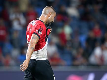 שער של אראל נפסל (מאור אלקסלסי)