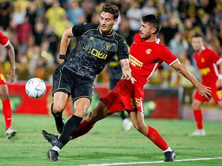 נראה טוב. שועה (אלן שיבר)