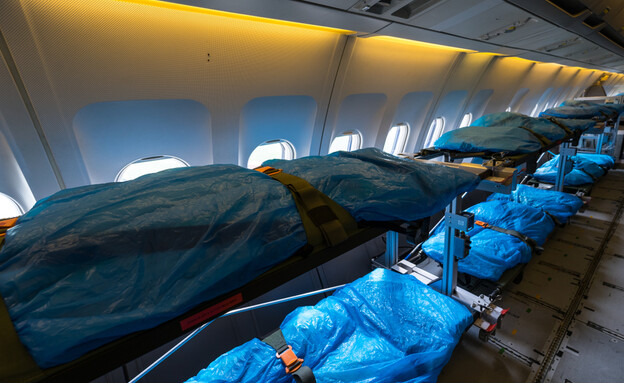 גופה בטיסה (צילום: shutterstock | Sergey Kohl)