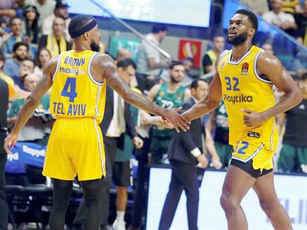 שליטה צהובה (אלן שיבר)