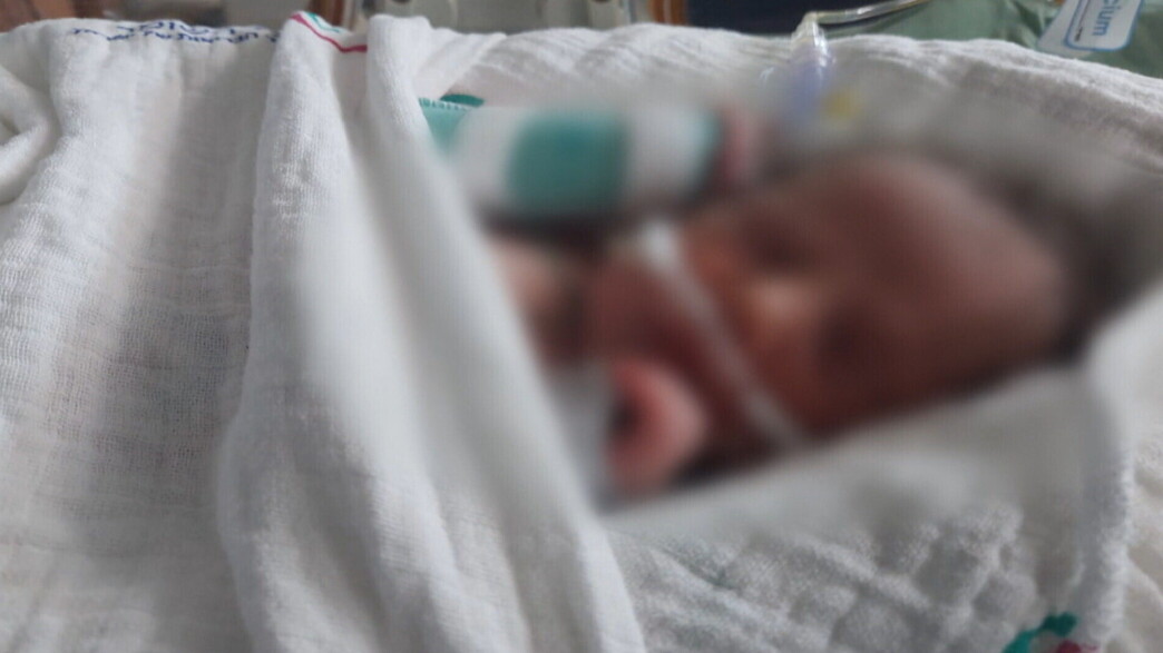 התינוקת מפרשת העוברים