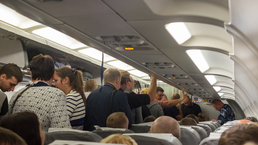 נוסעים עומדים במטוס (צילום: Aleksandr Shilov, shutterstock)