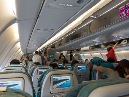 "אם המצב לא ישתנה": אלה חברות התעופה שנטען שלא ישרדו את הקיץ הקרוב