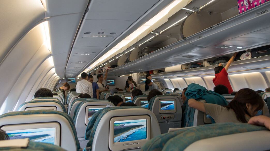 תא נוסעים מטוס (צילום: LeQuangNhut, shutterstock)