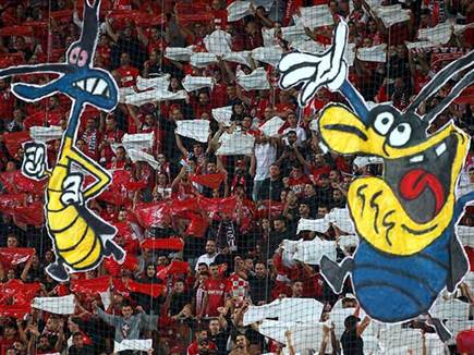 אוירה מדהימה בטרנר (אלן שיבר)