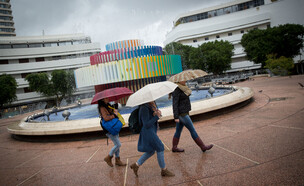 כיכר דיזינגוף (צילום: מרים אליסטר, פלאש 90)