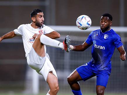 חלוקה הוגנת (מאור אלקסלסי)