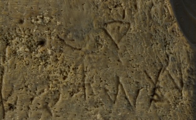 תצלום על האותיות הכנעניות בצד ימין (צילום: דפנה גזית, רשות העתיקות)