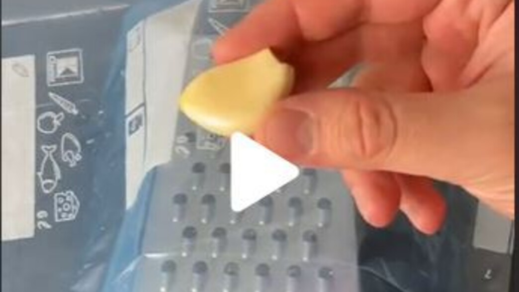 פומפייה פומפייה