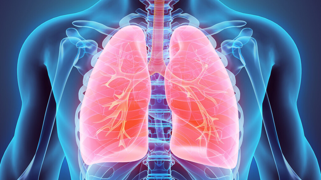 הדמיית ריאות בגוף האדם