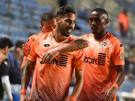 חגיגה זמנית (ברני ארדוב)