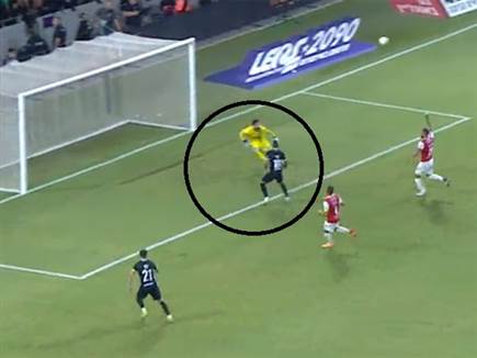 האם שרי השפיע על התנועה של לויטה?