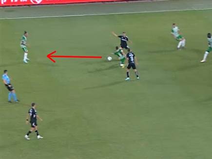 1. ההשתחררות מלחץ של לביא והמסירה לשרי