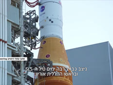 20halal_vtr2_n20221115_v1 (צילום: חדשות)