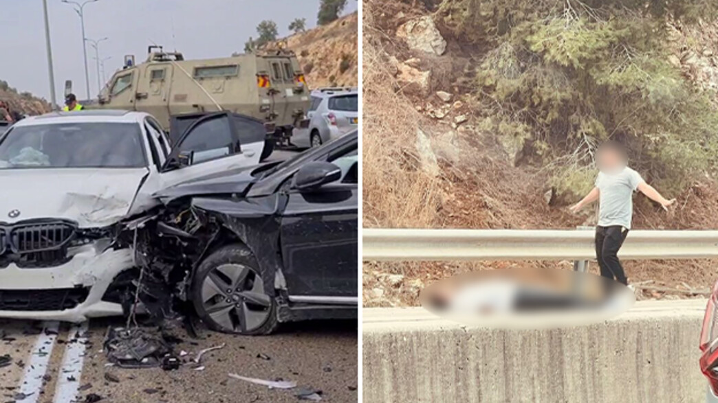 הפיגוע באריאל